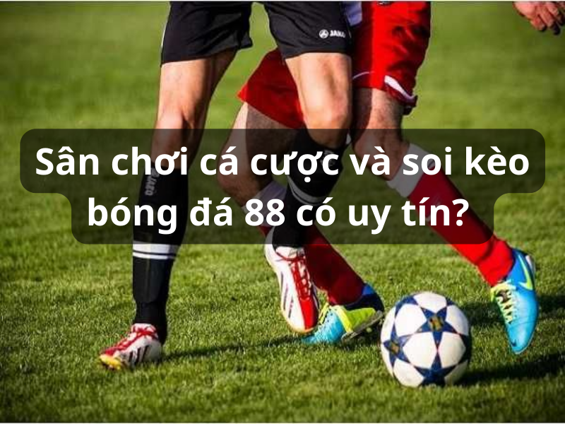 Sân chơi cá cược và soi kèo bóng đá 88 có uy tín?