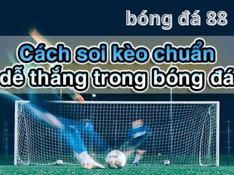 Xem tỷ lệ cược trên bảng hiển thị khi soi kèo bóng đá 88